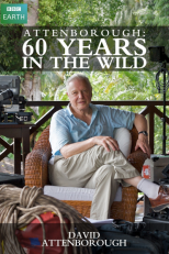60 Năm Sự Nghiệp Về Thế Giới Hoang Dã Của Attenborough